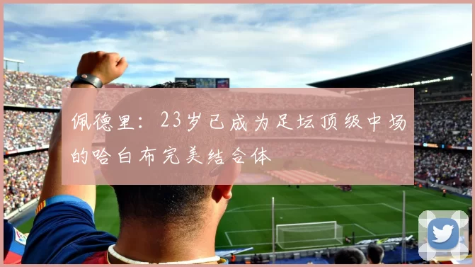 佩德里：23岁已成为足坛顶级中场的哈白布完美结合体