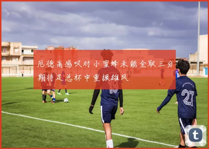 厄德高感叹对小蜜蜂未能全取三分期待足总杯中重振雄风